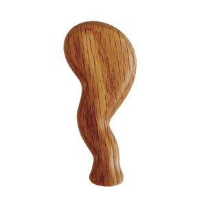 Apatosaurus Right Front Leg