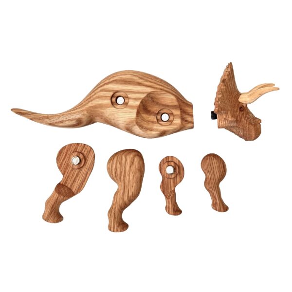 Triceratops - Image 3